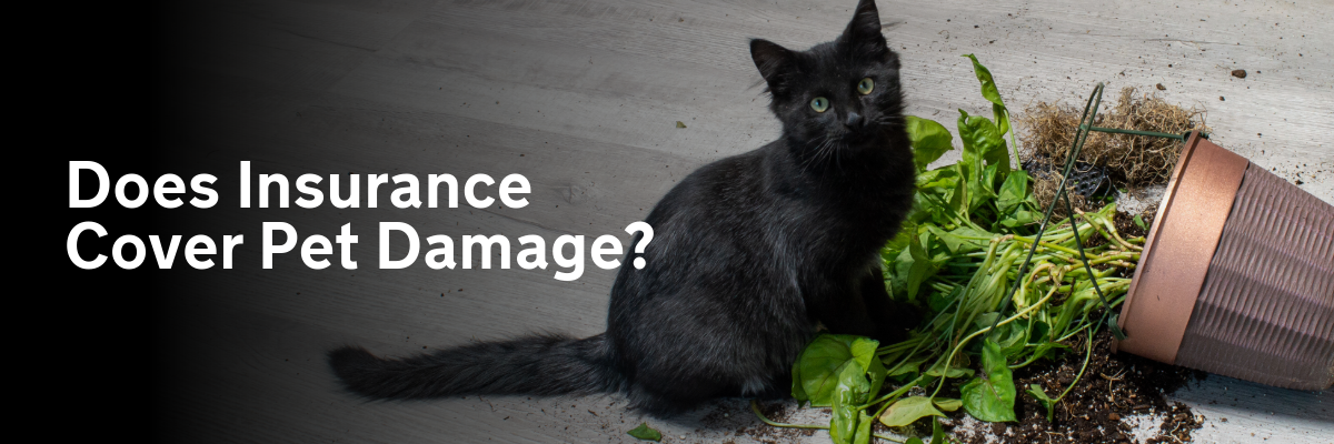 Does accidental damage include pet damage in insurances?