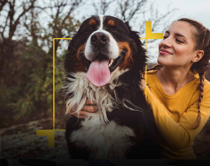 pet insurance, pet insurance ireland, dog insurance, dog insurance ireland, best pet insurance ireland, cheapest pet insurance ireland